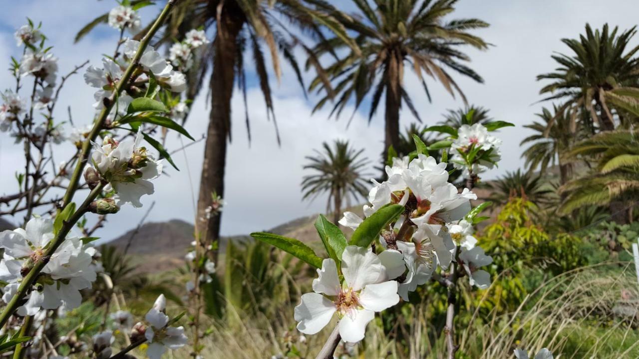 El Pirguan Holiday House, Your Oasis In La Gomera Vallehermoso Esterno foto