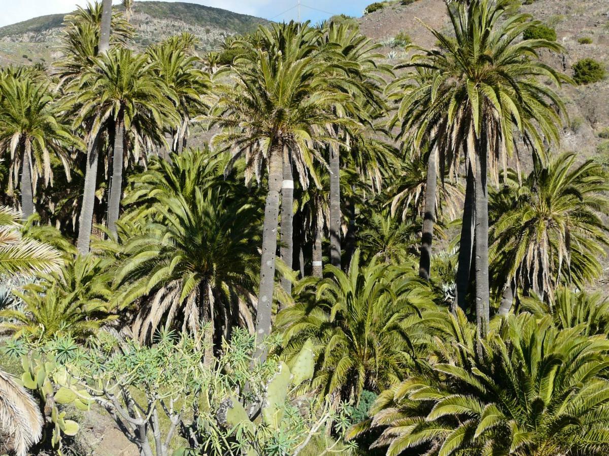 El Pirguan Holiday House, Your Oasis In La Gomera Vallehermoso Esterno foto