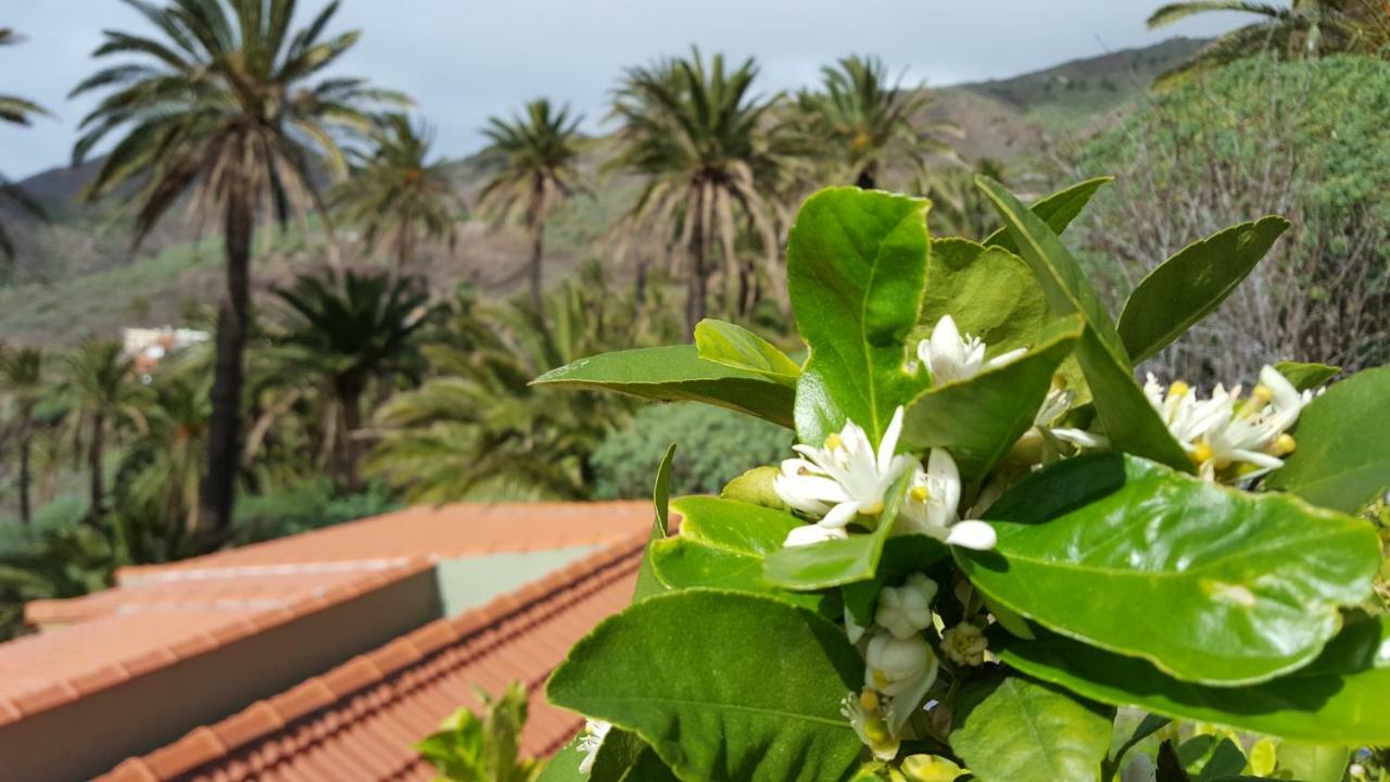 El Pirguan Holiday House, Your Oasis In La Gomera Vallehermoso Esterno foto