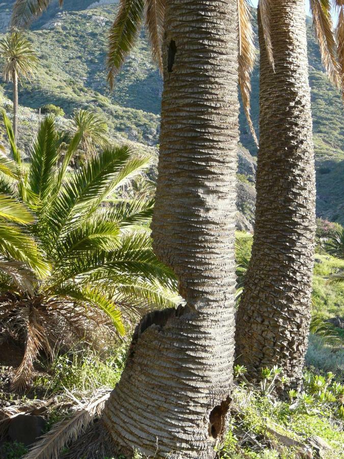 El Pirguan Holiday House, Your Oasis In La Gomera Vallehermoso Esterno foto