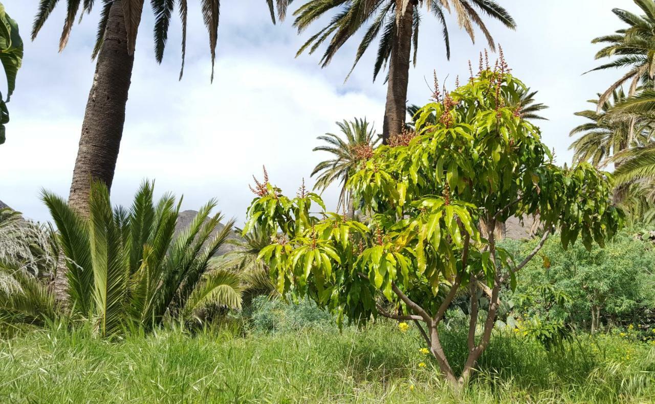 El Pirguan Holiday House, Your Oasis In La Gomera Vallehermoso Esterno foto